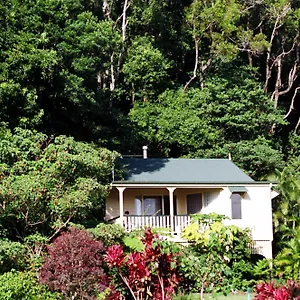 The Falls , Montville Australia